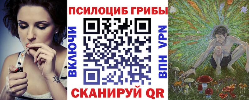 Галлюциногенные грибы GOLDEN TEACHER  купить наркотик  Новоржев 