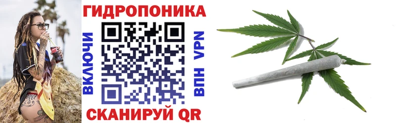 blacksprut как зайти  Новоржев  Бошки марихуана SATIVA & INDICA 